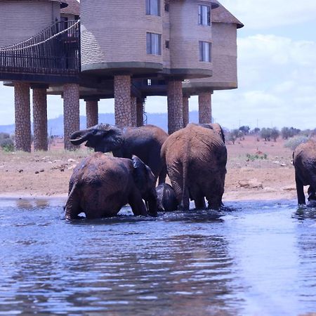 Salt Lick Safari Lodge Tsavo Zewnętrze zdjęcie