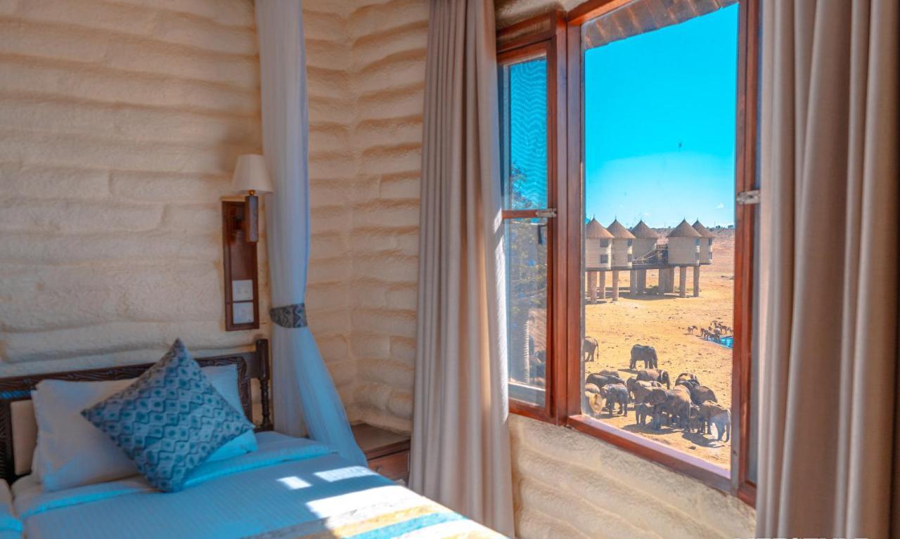 Salt Lick Safari Lodge Tsavo Zewnętrze zdjęcie
